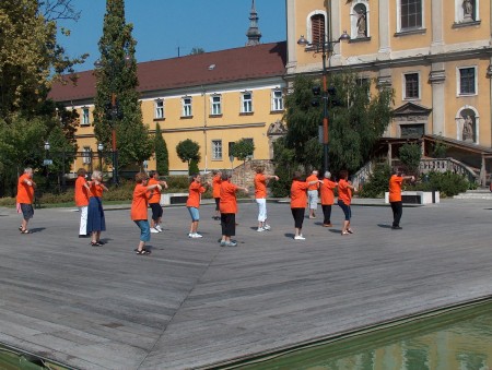 tai chi - Harmnia napja 2011 Miskolc