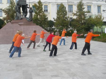 tai chi - Harmnia napja 2013 Miskolc