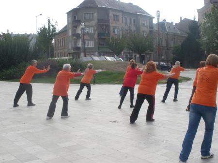 tai chi - Harmnia napja 2013 Miskolc