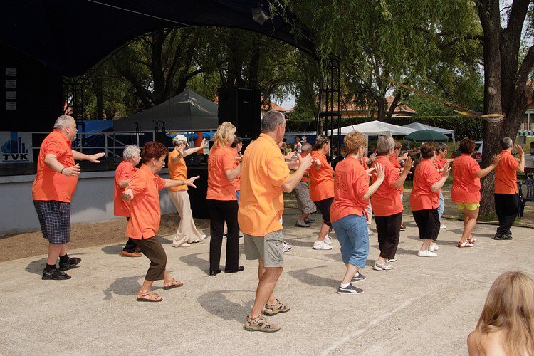 tai chi - Hejsokadalom 2011 Hejbba