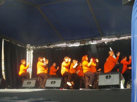 tai chi - Miskolci Kocsonya Farsang 2014 Miskolc