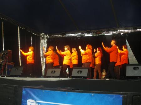 tai chi - Miskolci Kocsonya Farsang 2014 Miskolc