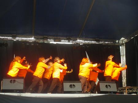 tai chi - Miskolci Kocsonya Farsang 2014 Miskolc