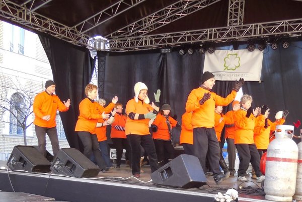 tai chi - Miskolci Kocsonya Farsang 2015 Miskolc
