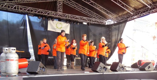 tai chi - Miskolci Kocsonya Farsang 2015 Miskolc