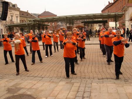 tai chi - Kocsonyafesztivl 2011 Miskolc