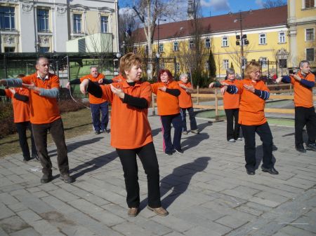 tai chi - Kocsonyafesztivl 2012 Miskolc