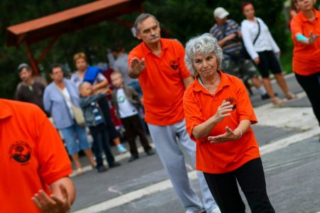 tai chi - Tanvnyit Kolor-party s srknyavat 2014 Kazincbarcika