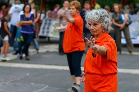 tai chi - Tanvnyit Kolor-party s srknyavat 2014 Kazincbarcika