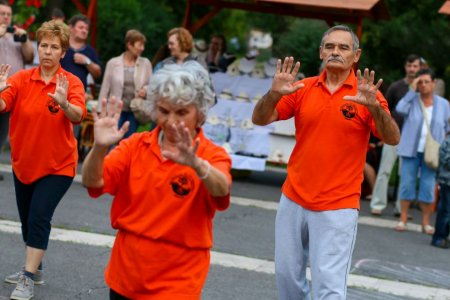 tai chi - Tanvnyit Kolor-party s srknyavat 2014 Kazincbarcika