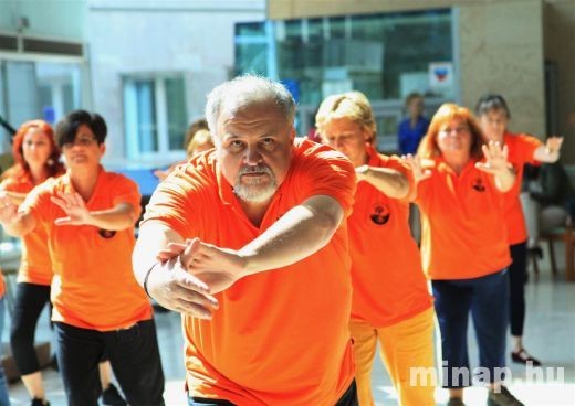 tai chi - Konfuciusz Intzet megnyitja 2013 Miskolc-Egyetemvros, Miskolci Egyetem by minap.hu