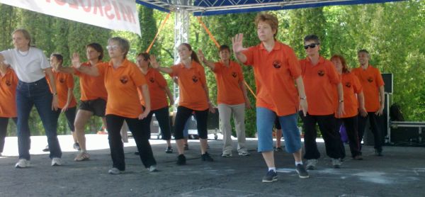 tai chi - Majlis 2013 Miskolc