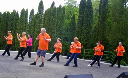 tai chi - Majlis 2015 Miskolc