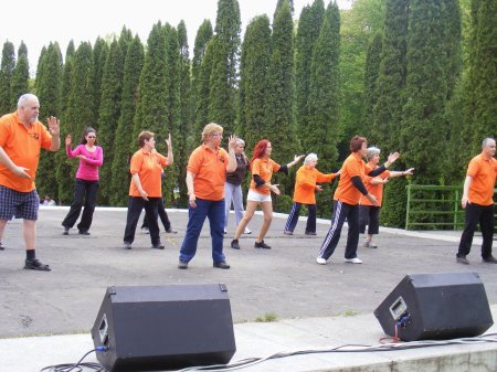 tai chi - Majlis 2015 Miskolc