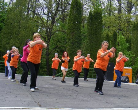 tai chi - Majlis 2015 Miskolc