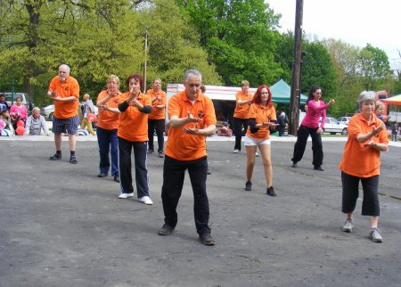tai chi - Majlis 2015 Miskolc