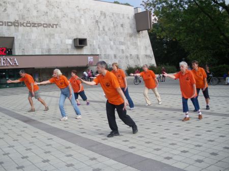tai chi - Mobilits-ht 2011, Miskolc