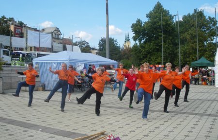 tai chi - Mobilits-ht 2013, Miskolc