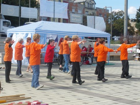 tai chi - Mobilits-ht 2013, Miskolc