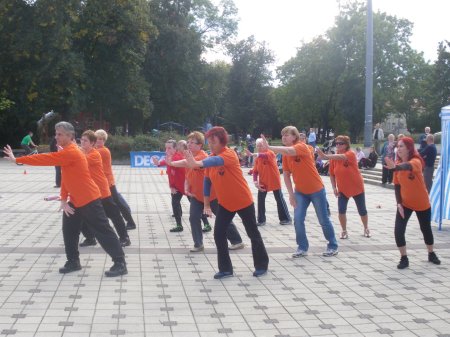 tai chi - Mobilits-ht 2013, Miskolc
