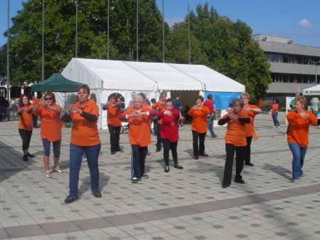 tai chi - Mobilits-ht 2013, Miskolc