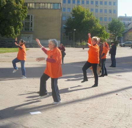 tai chi - Mozogjunk egytt 2013 Miskolc