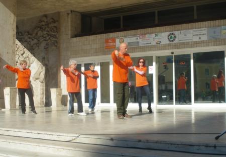 tai chi - Mozogjunk egytt 2013 Miskolc