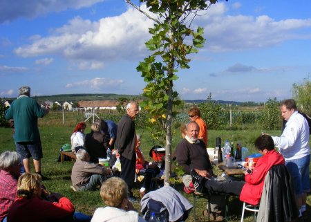 tai chi - szikszi sport- s egszsgnap Sziksz 2013