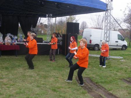 tai chi - Szirmai fzs 2013 Miskolc-Szirma