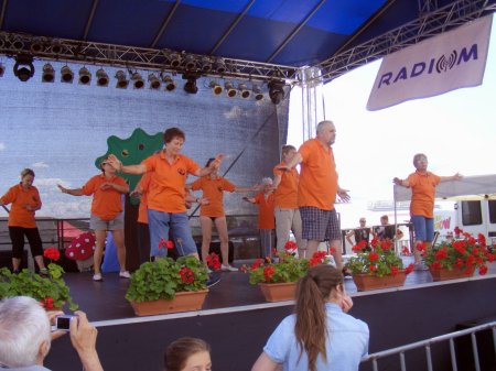 tai chi - II. Harsnyi Szrkemarha Fesztivl 2014 Harsny