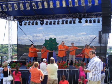 tai chi - II. Harsnyi Szrkemarha Fesztivl 2014 Harsny