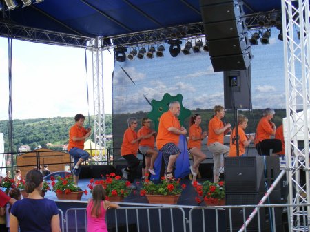 tai chi - II. Harsnyi Szrkemarha Fesztivl 2014 Harsny