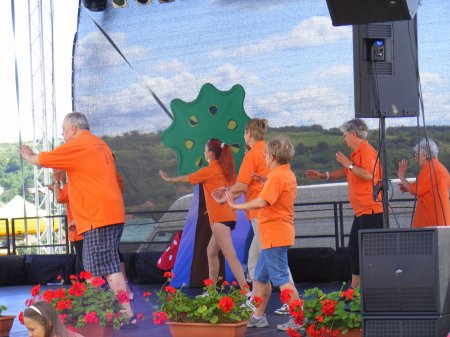 tai chi - II. Harsnyi Szrkemarha Fesztivl 2014 Harsny