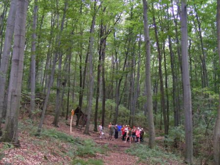 tai chi - varbi tbor 2014